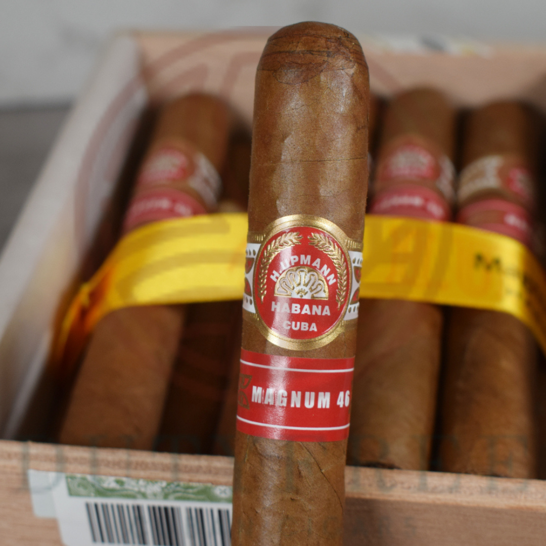 H Upmann Magnum 46
