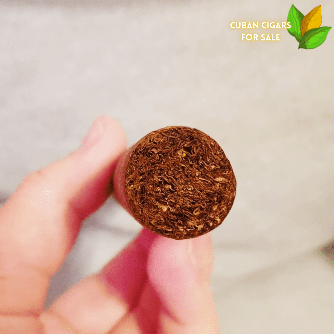 Montecristo 80th Anniversary