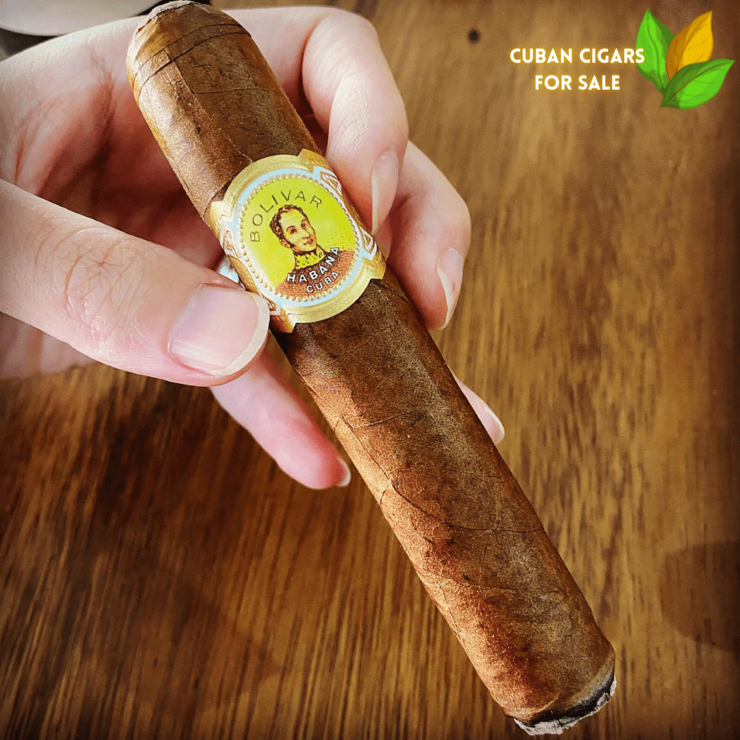 Bolivar Royal Corona