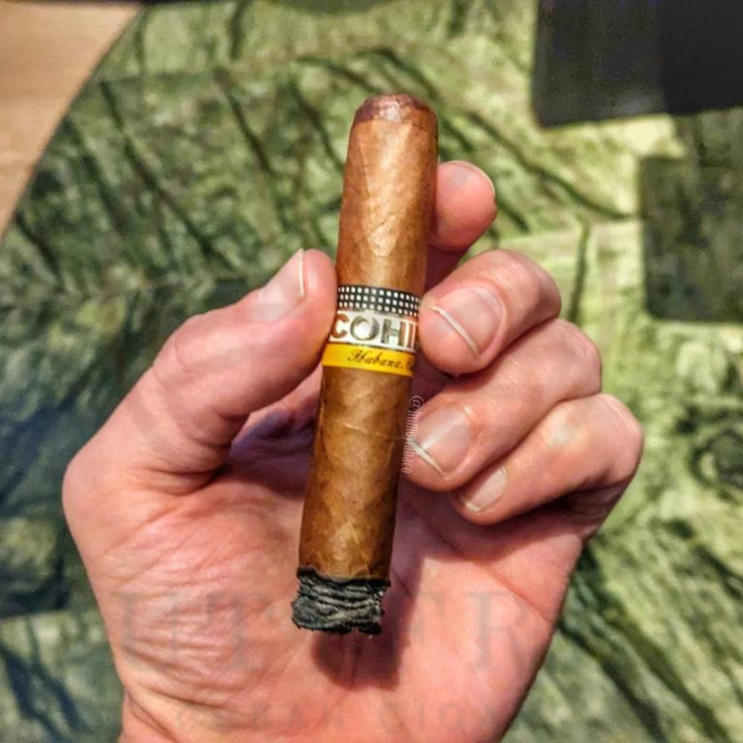 Cohiba Siglo V