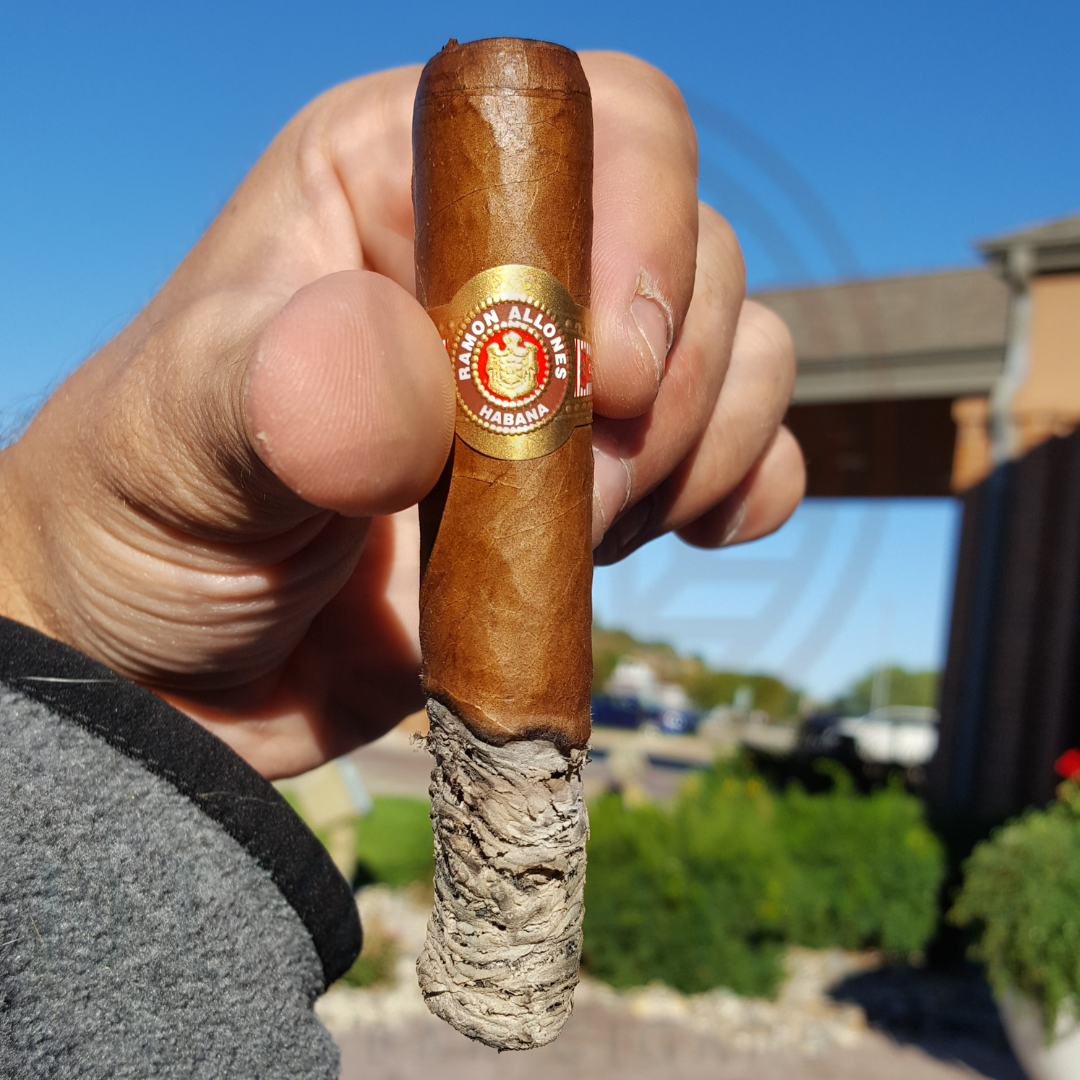 Ramon Allones Specially Selected