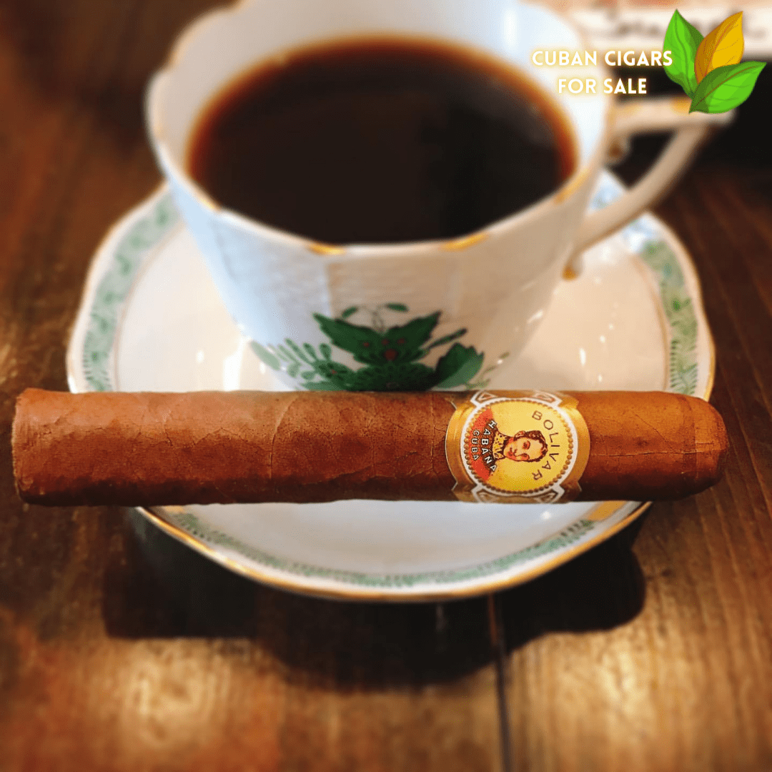 Bolivar Royal Corona