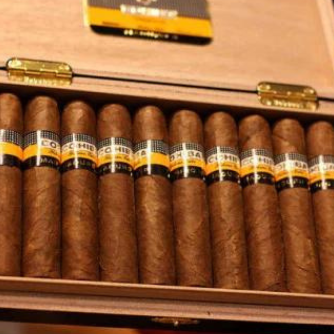 Cohiba Maduros 5 Genios