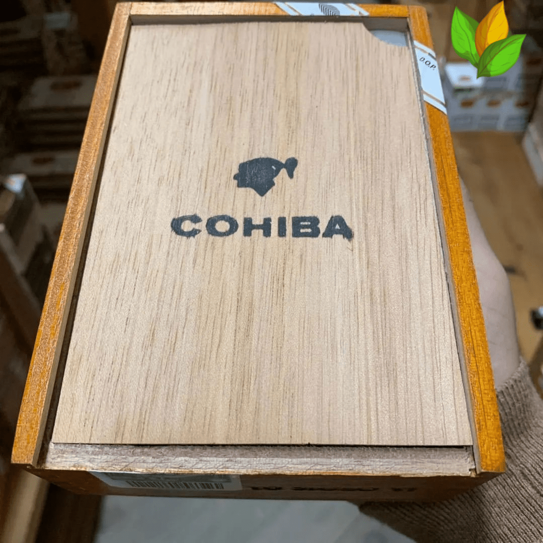 Cohiba Siglo VI