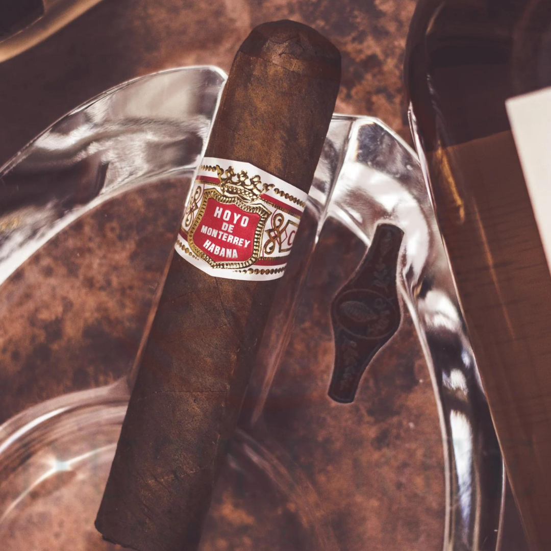 Hoyo de Monterrey Petit Robusto