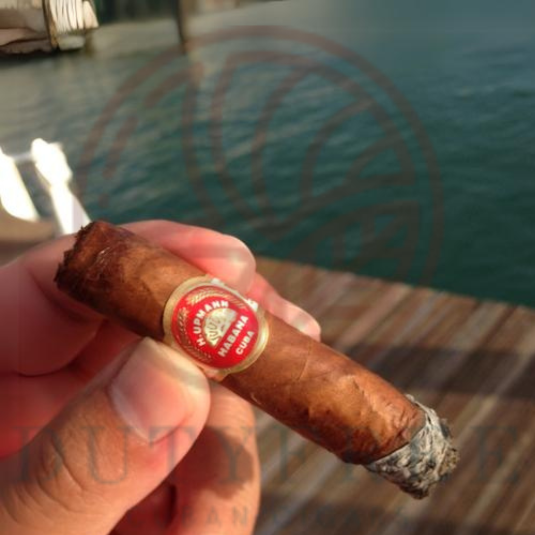 H Upmann Petit Corona