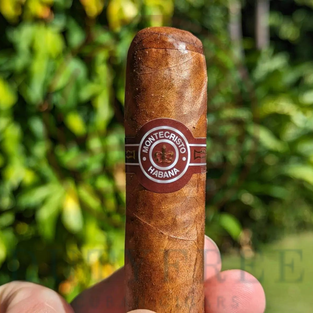 Montecristo Petit Edmundo
