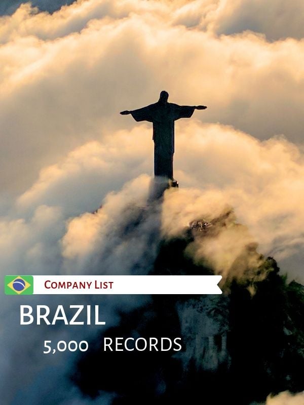 Brazil Business Database