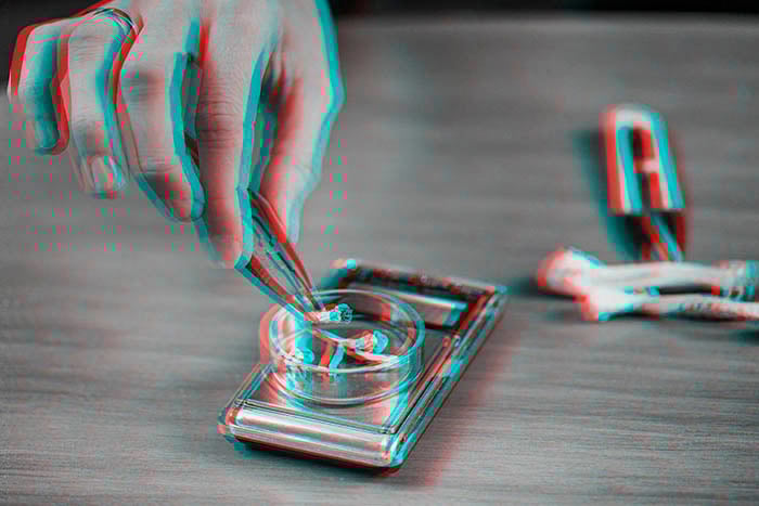 Microdosing Magic Mushrooms Psilocybin