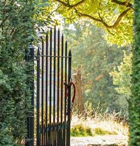 hypnosis-gateway to the subconscious mind