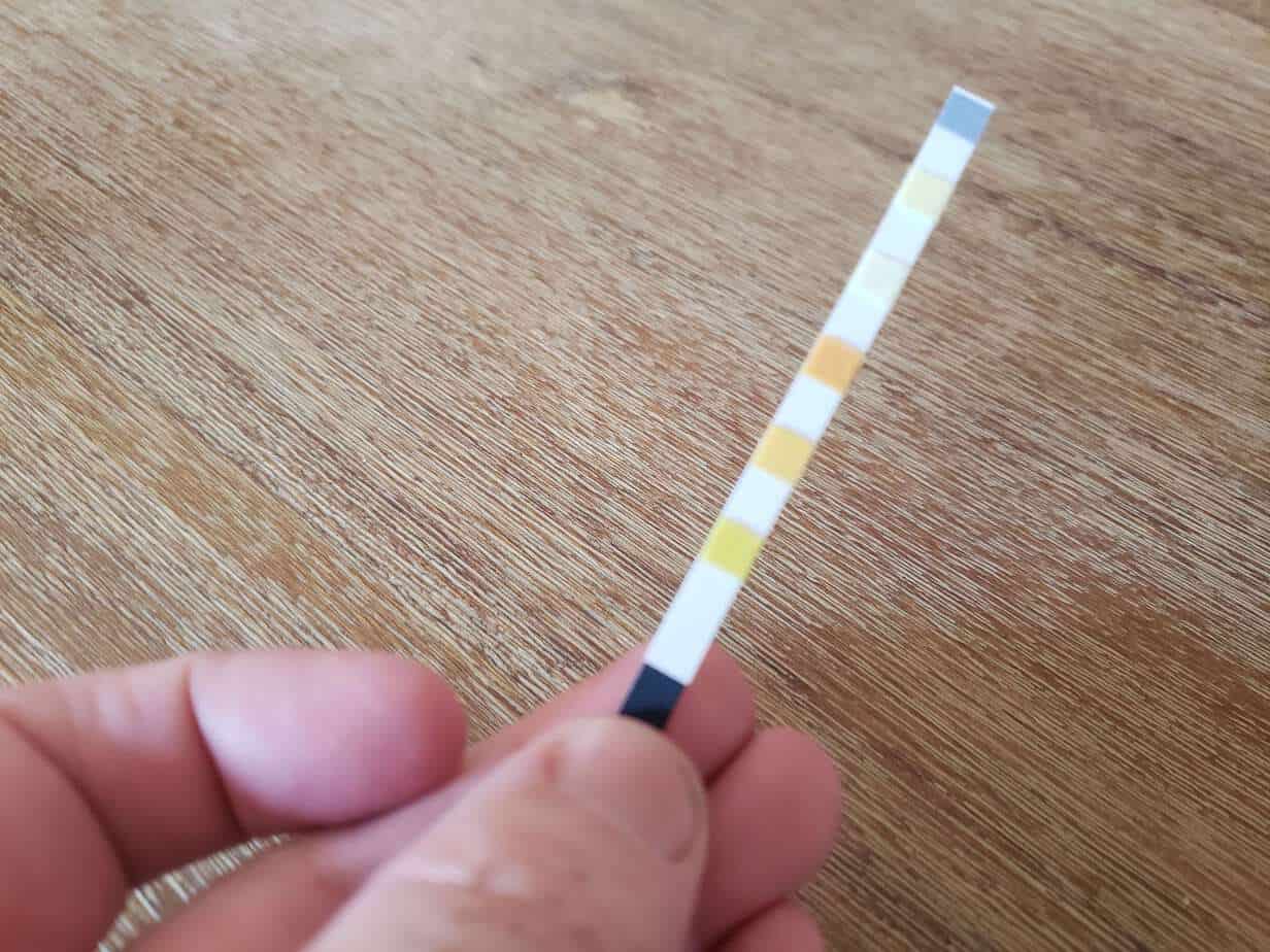 A Clorox test strip.