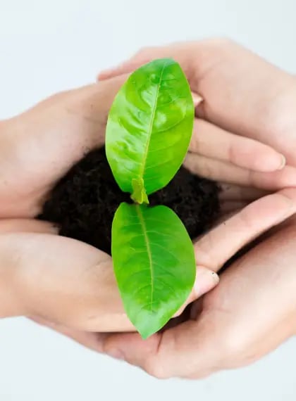 Support opeNNano Polska Prezentacja Firmy