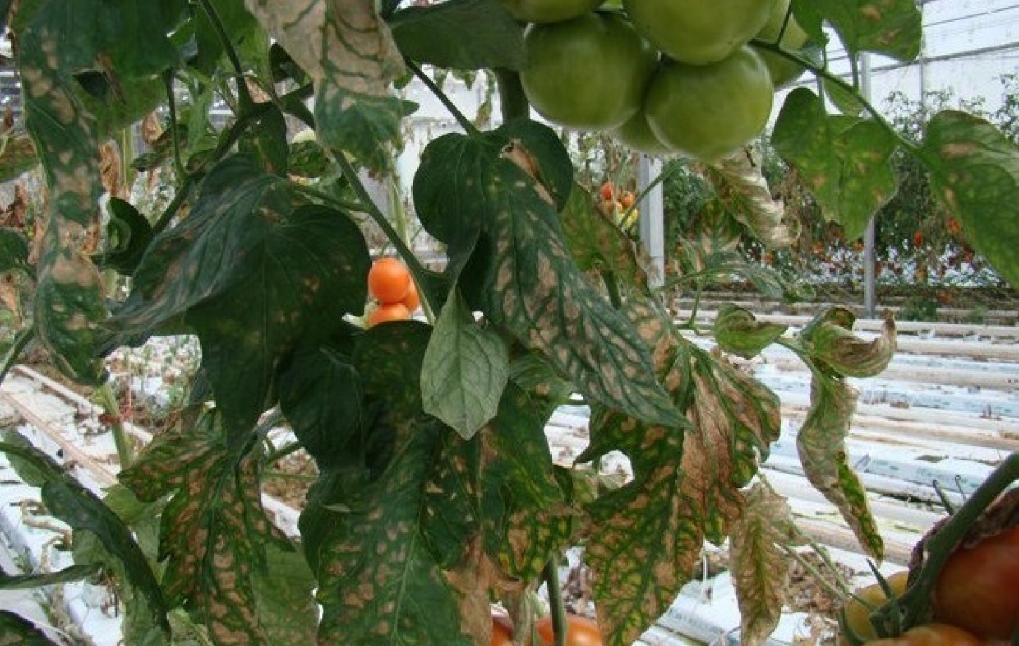 news70 img-1