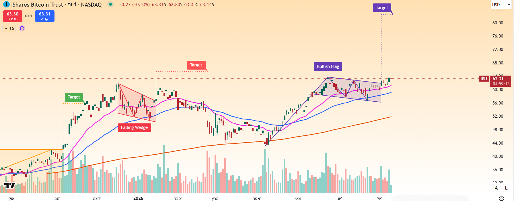 Shares Bitcoin Trust בגרף יומי מאת TradingView