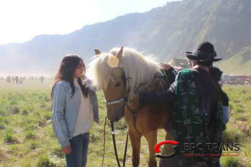 paket wisata bromo dan air terjun madakaripura