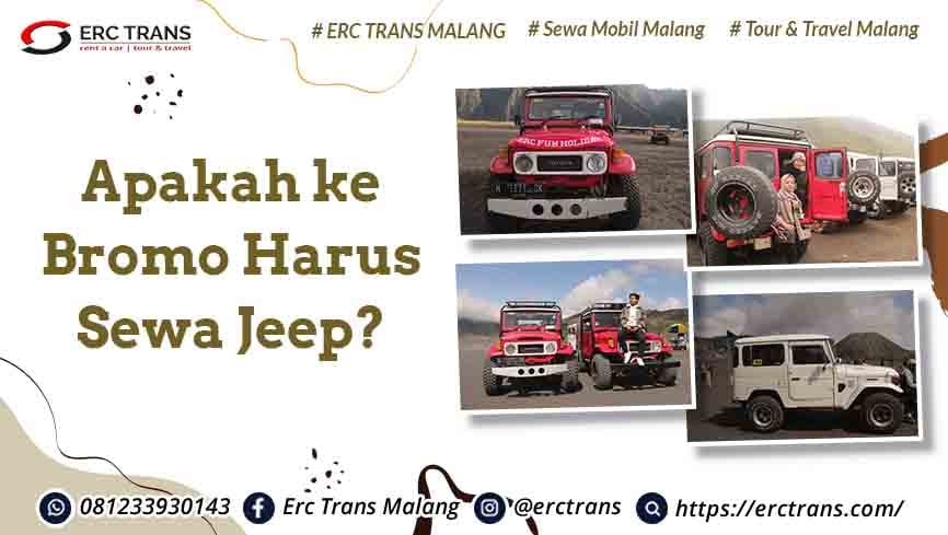 Wisata Jeep Bromo: Keindahan di Balik Dinginnya Udara dan Panasnya Petualangan

