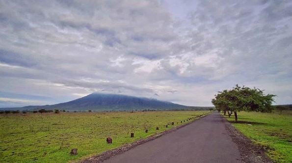 taman nasional baluran