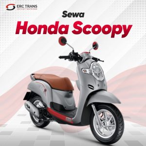 Honda Scoopy