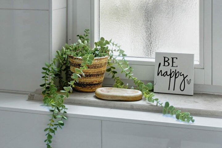 MainZauber Apartments früher MainTerrasse Miltenberg am Main - Hochwertig ausgestattete Ferienwohnung in der Altstadt-AltstadtZauber Miltenberg, mit Fensterbank, Pflanze und Dekoration.