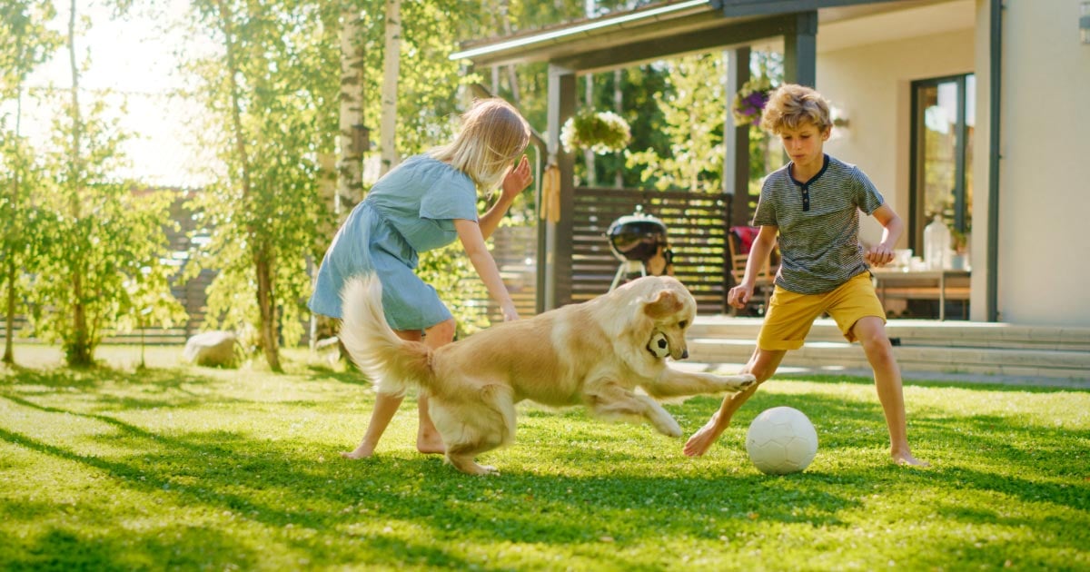 Mom playing with her stepson and dog in their yard