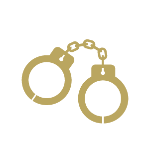 FlagAzLaw_Icons_Gold-06 img-3