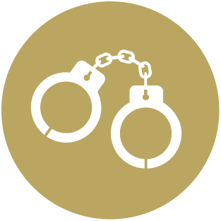 FlagAzLaw_Icons_Gold-01 img-4