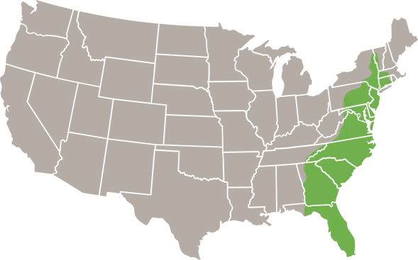 The Eastern Ratsnake USA Range map