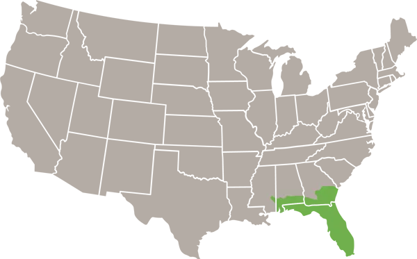 Eastern Indigo Snake USA Range Map