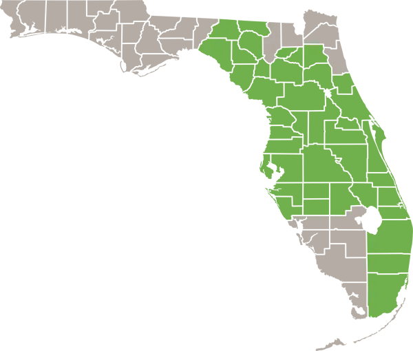 Florida Deer Mouse Florida Range
