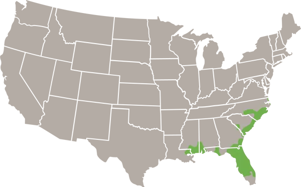 The Pine Woods Littersnake USA Range Map