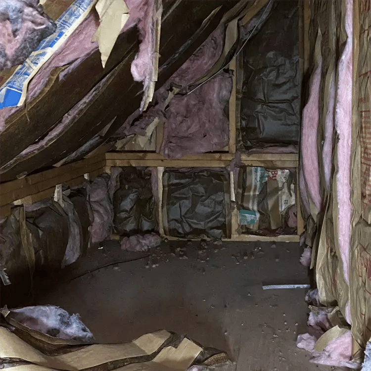 Attic Before WE offer Attic Cleanup for wildlife in Okeechobee