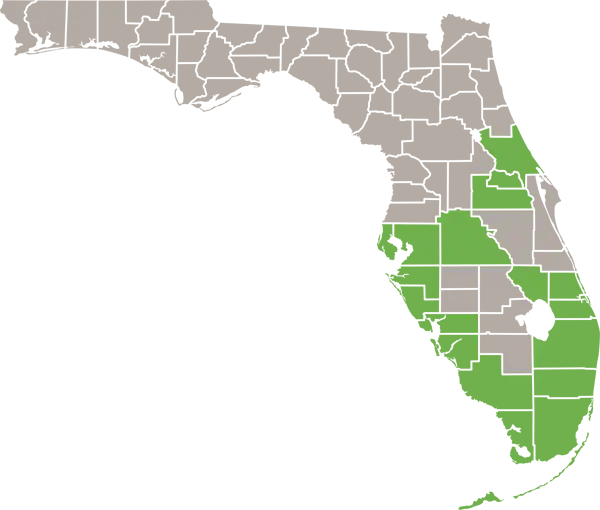 Black Spiny-tailed Iguana Florida Range Map
