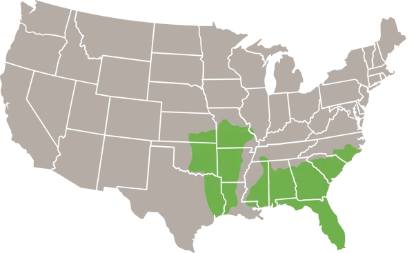 The Eastern Coachwhip USA Range Map