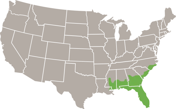 eastern diamondback rattlesnake USA Range Map