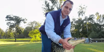 Removal One of our techs removing a gator, with our premiere Okeechobee Wildlife Removal Program