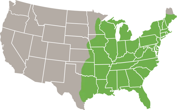 Southern Flying Squirrel US Range Map