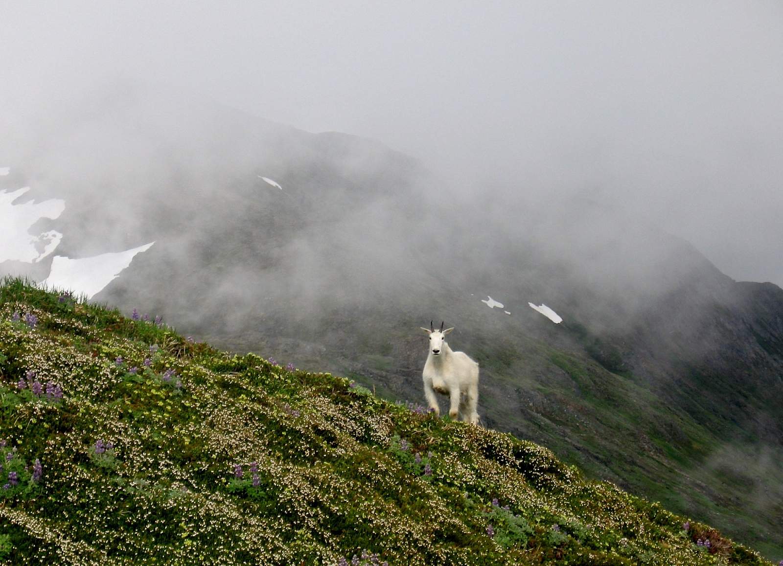 Planning Your Stay in Juneau