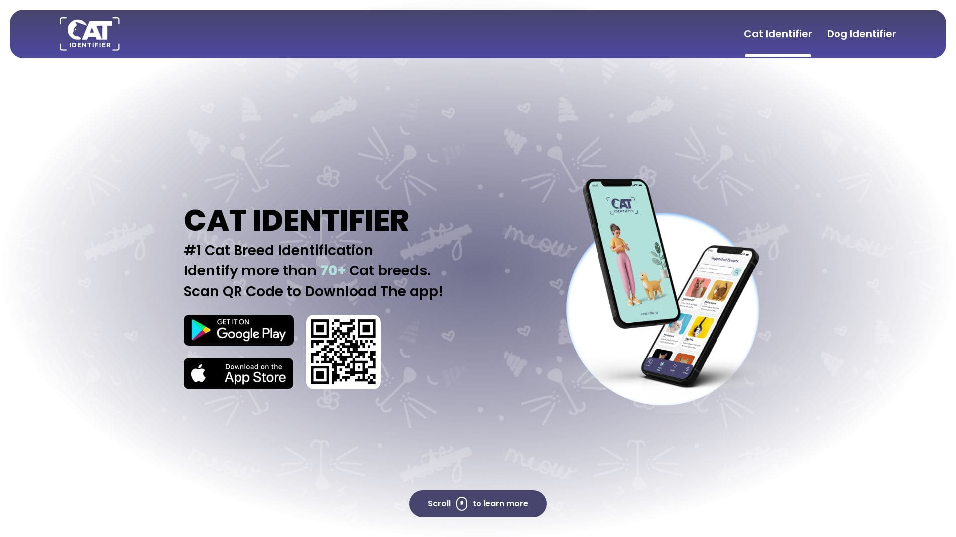cat-identifier-Best-AI-Tools-By-Futureen