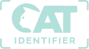cat-identifier-Best-AI-Tools-By-Futureen