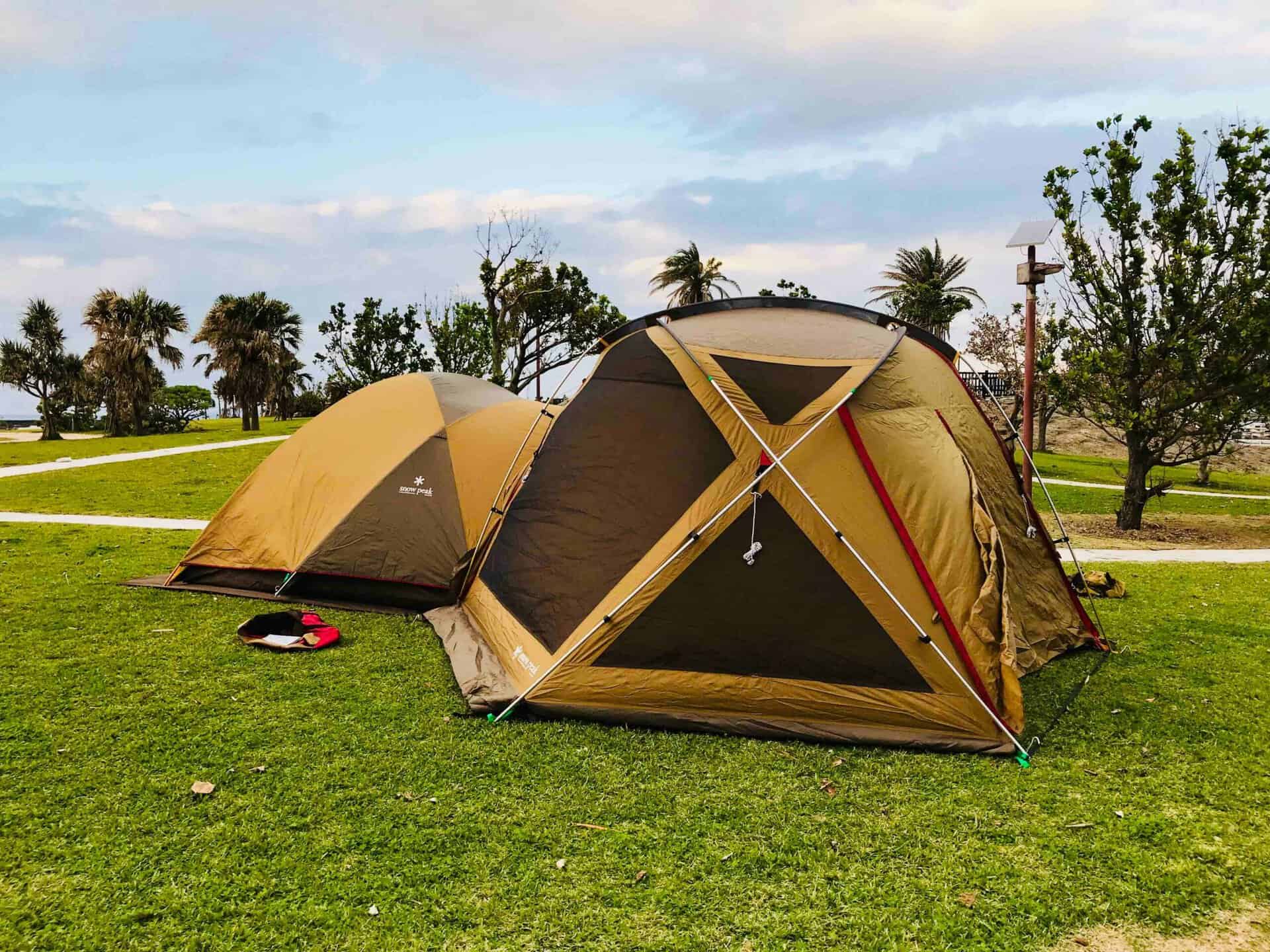 picapiu-Top-AI-Tools-By-Futureen