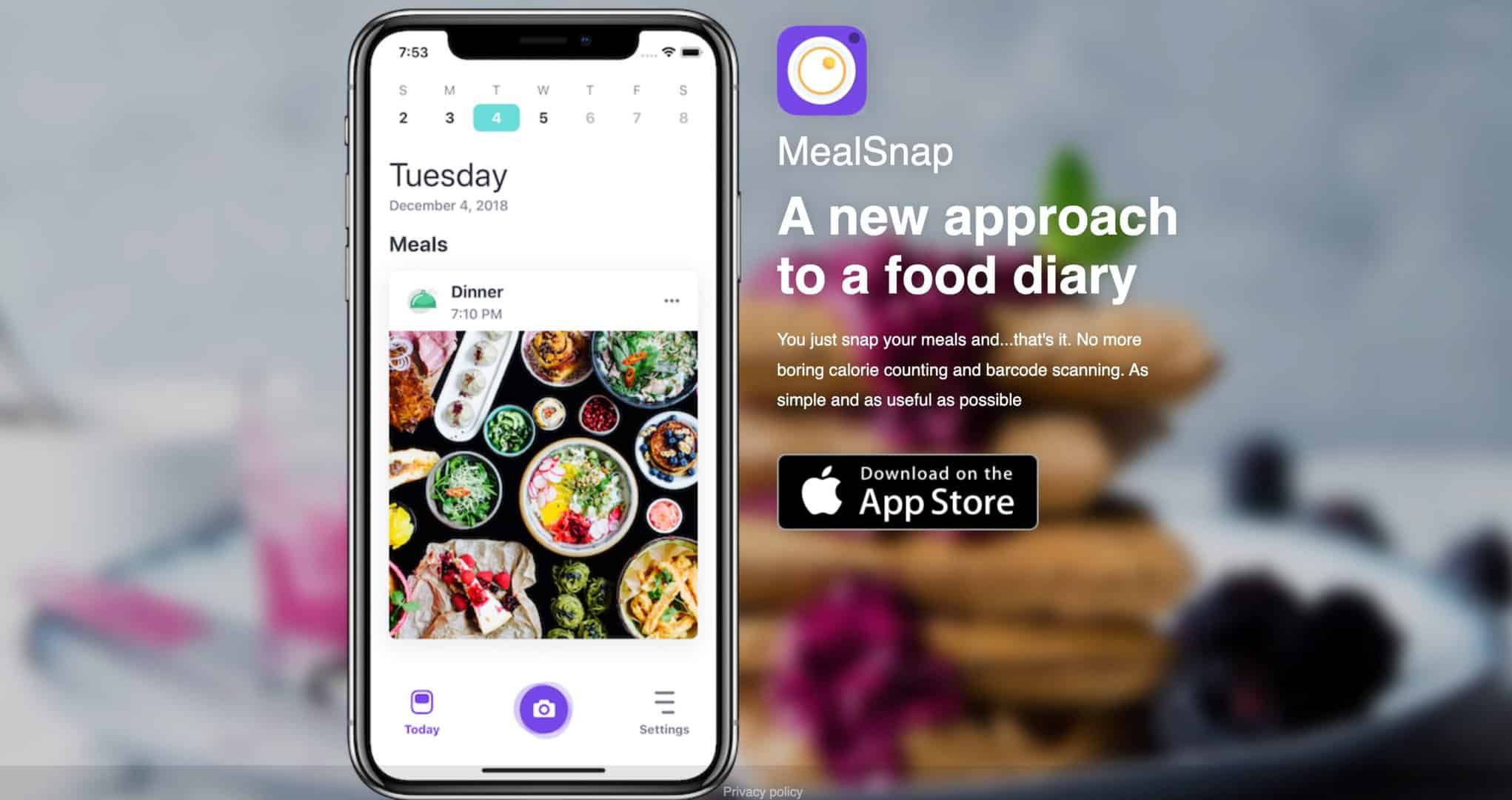 mealsnap-ai-meal-log-journal-AI-Tool
