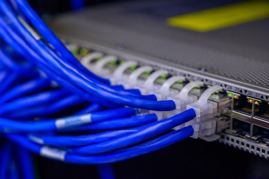 pexels photo 2881232 2881232 1 Detailed view of blue ethernet cables connected to a network switch in a data center.