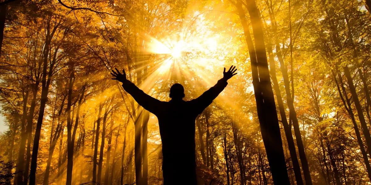 The Beginner’s Guide to Starting Your Spiritual Journey: Key Steps for Transformation 8 spiritual journey