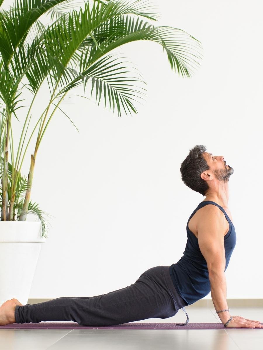 Solar Plexus Chakra: Everything You Need to Know 10 upward dog pose