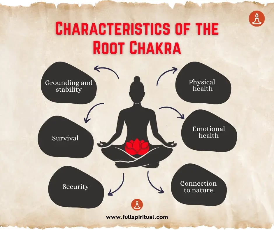 Root Chakra Balance: Know The Characteristics 3 Characteristic of the root chakra