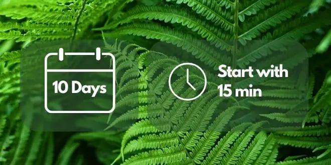 Vipassana Meditation 3 vipassana meditation time and technique