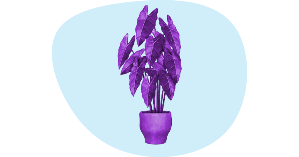 Improve Small Business Mental Health with Plants 1 Body 1 The Benefits Of Plants png 2