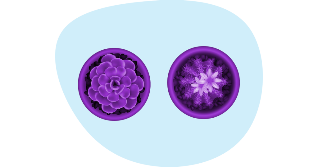 Improve Small Business Mental Health with Plants 13 An illustration of some small cacti