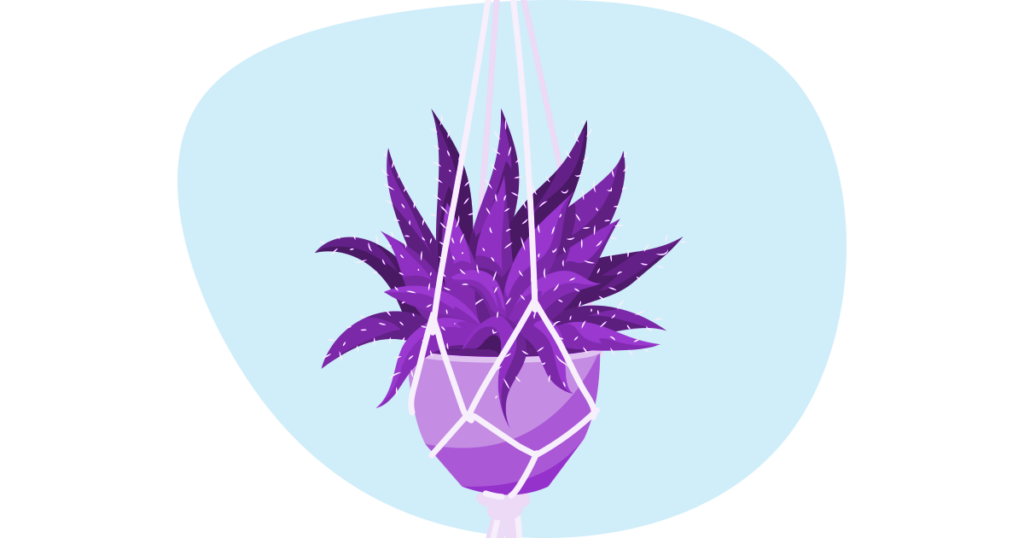 Improve Small Business Mental Health with Plants 15 An illustration of a hanging cactus plant