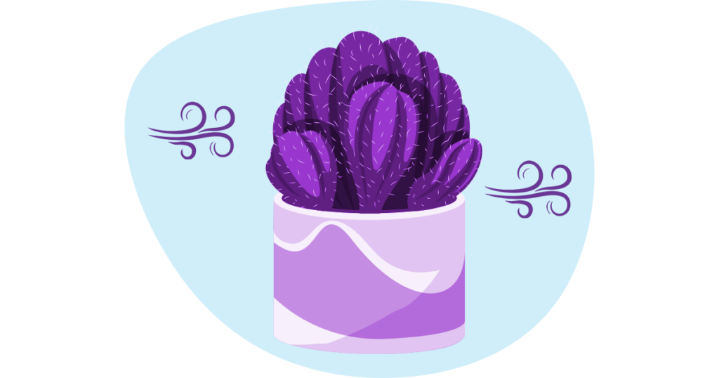 Improve Small Business Mental Health with Plants 6 An illustration of a small cactus with a breeze of air